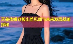 天美传媒老板出差见闻与未来发展战略探秘